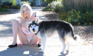 Upskirt cutie Jocelyn Sweets uses a toy after outdoor panty flashing & frigging